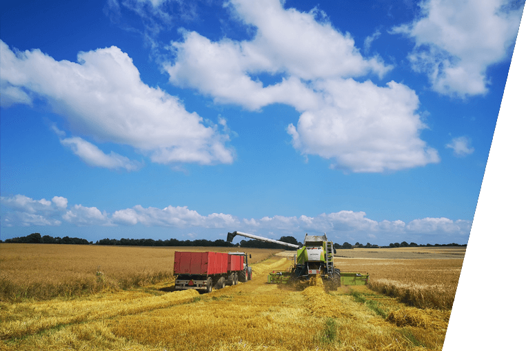 Agrochemicals